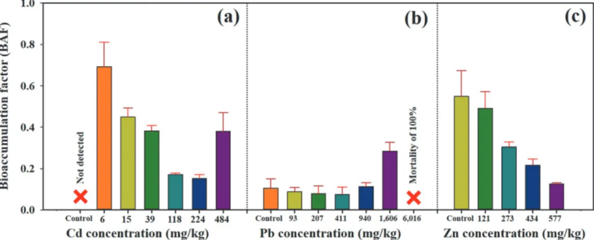 Fig. 5. Bioaccumulation factor (BAF) computed by the concentrations measured in the earthworm body divided by those in soil