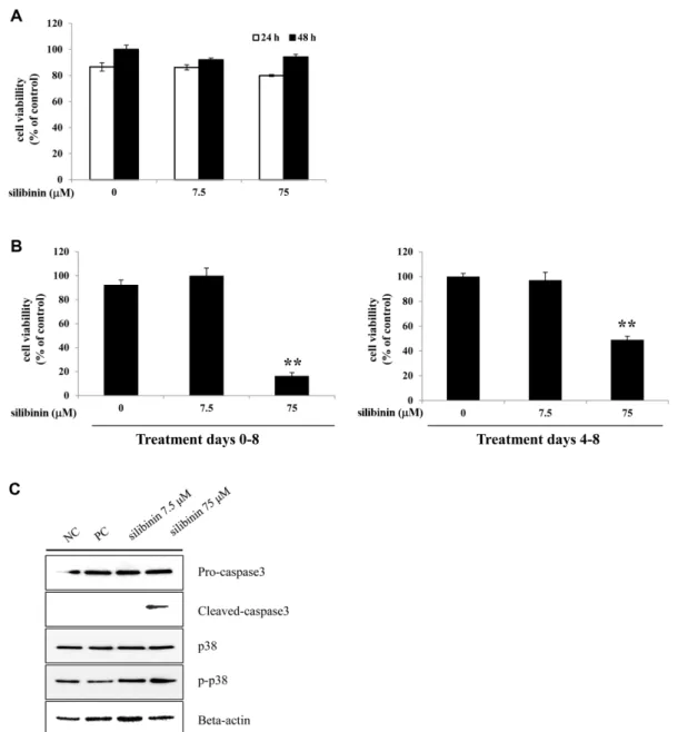 Fig. 4. Effects of silibinin on cell viability of 3T3-L1 preadipocytes and differentiated adipocytes