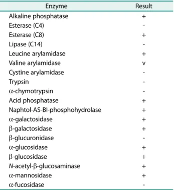 Table 3. Determination of chemotaxonomic characteristics of strain WJ-1 by API 20NE kit.