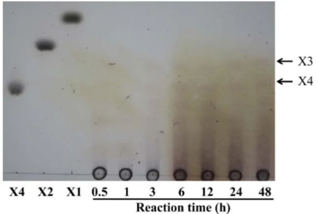 Fig. 3. Thin layer chromatography analysis.  The reaction was performed in 20 mM Tris-Cl buffer (pH 7.0) at 55 ℃ for 48 h