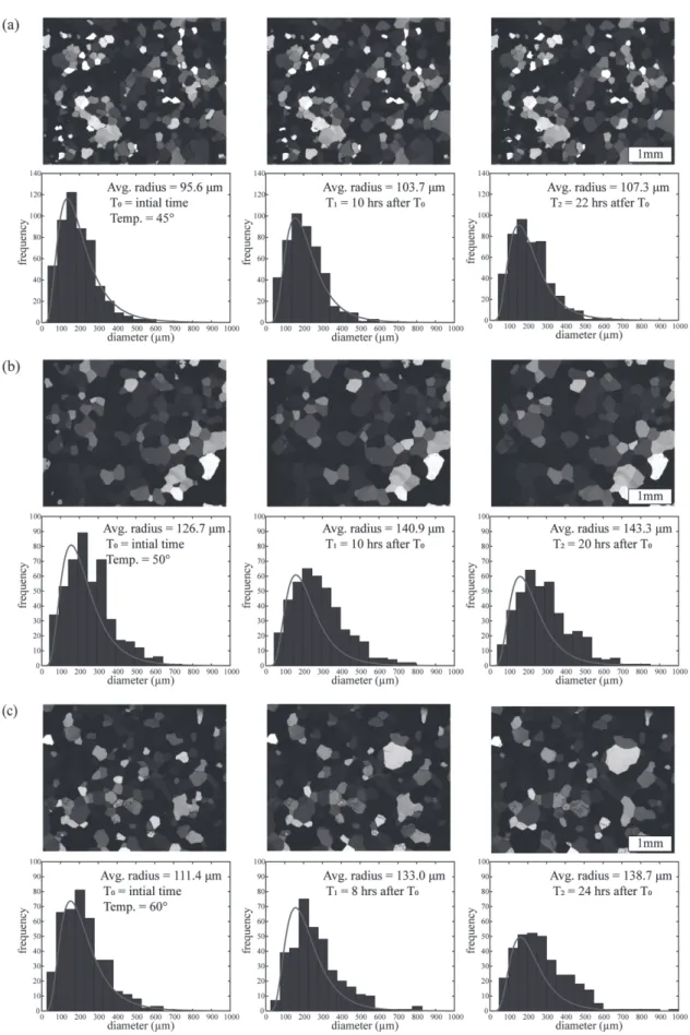 Fig. 5. Representative images and particle frequency histograms of specific time intervals during static particle growth experiments.