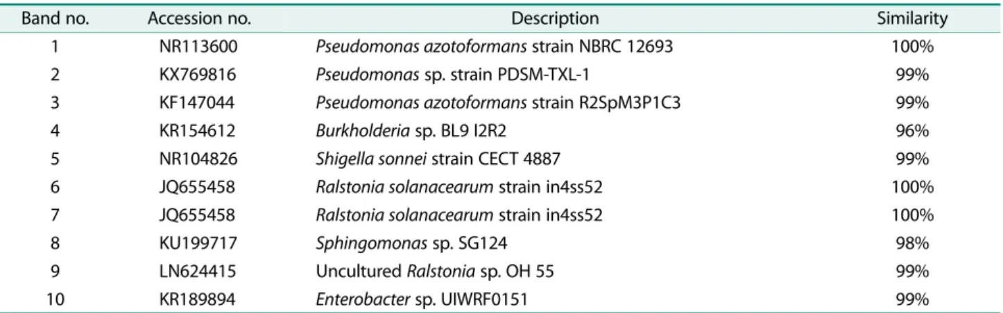 Fig. 1. DG-DGGE patterns of 16S rDNA fragments of oriental post-fermented tea bacteria