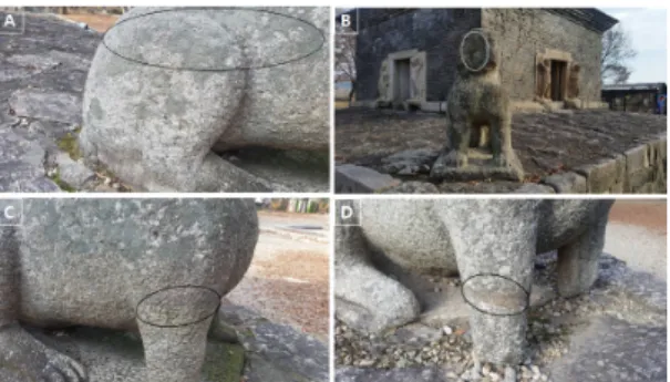 Fig. 5. Microorganisms and repair materials in lion  statues (A: lichen, B: broken, C, D: epoxy resin).