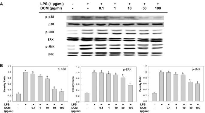 Fig. 5. Effect of dichloromethane fraction from skipjack tuna heart extract on phosphorylated MAPKs (p38, ERK, JNK) expression in LPS-induced RAW 264.7 cells