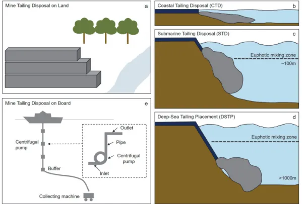 Fig. 1. Schematic representation of mine tailing disposal systems by disposal place. Mine tailings disposal (a) on land, (b-d) to the ocean (Ramirez-Llodra et al., 2015), and (e) on board