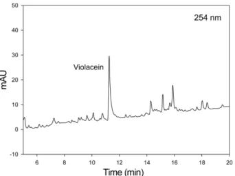Fig. 5. Observed UV spectrum of the major pigment (127CP7- (127CP7-12). UV spectrum was consistent with that of violacein