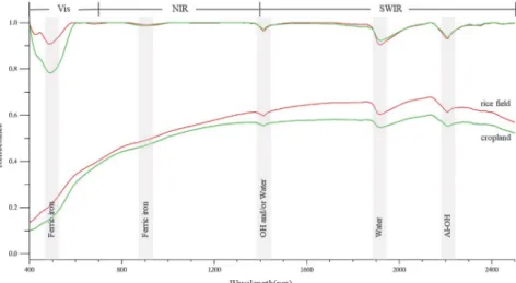 Fig. 5. Stacked hull corrected spectra of averaged cropland(green) and rice field (red) samples with library spectra of kaolinite, illite and hematite.