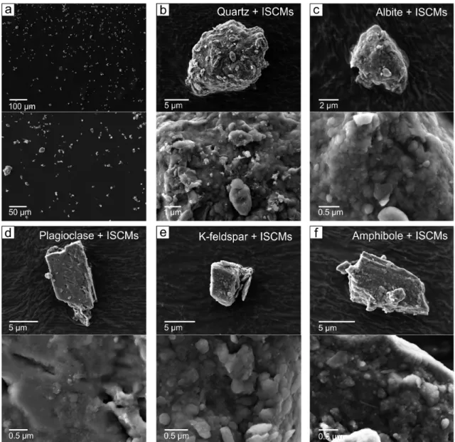 Fig. 4. Scanning electron micrographs of Asian dust particles collected in April 15, 2018 (1)