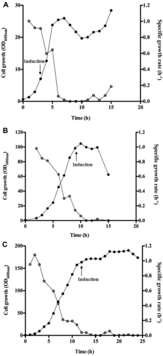 Fig. 3. Time course changes of cell growth and specific growth rate with induction during the early exponential phase (A), mid exponential phase (B) and late exponential phase (C)