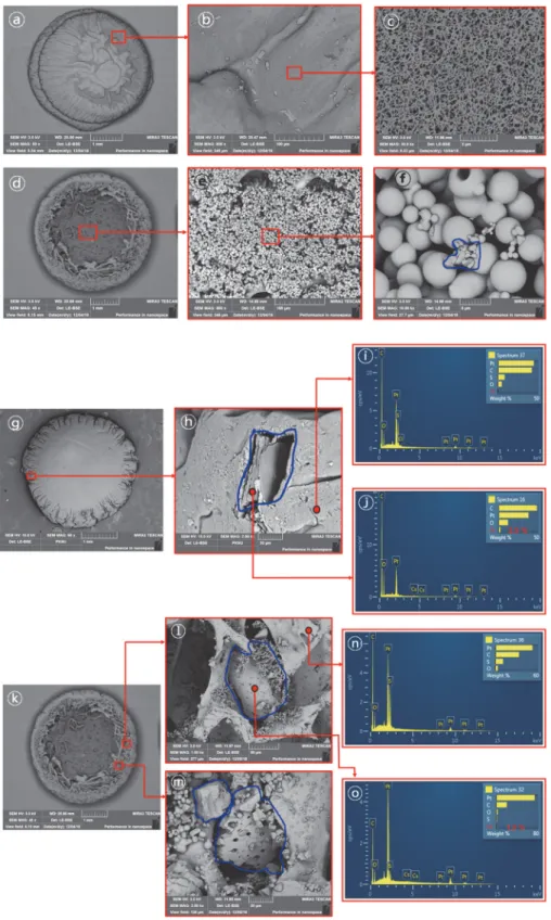 Fig. 10. Results of SEM/EDS analysis for P-5NBC after the sorption batch experiment (● : EDS spot;  □ : BC particles in carrier)