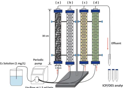 Fig. 4. The Cs removal efficiencies with different amount of HNO 3 -treated BC in a carrier (a) and with different initial Cs concentration in solution (b).