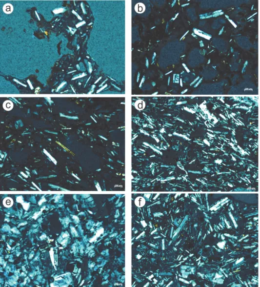 Fig. 4. Representative images of lithologies showing features of groundmass feldspar microlites
