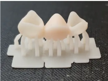 Figure  1.  Specimen  printed  in  digital  light-processing.