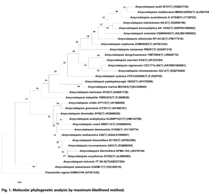 Fig. 2. Key HMBC and COSY correlations of 1-methoxy-3- 1-methoxy-3-methyl-8-hydroxy-anthraquinone.