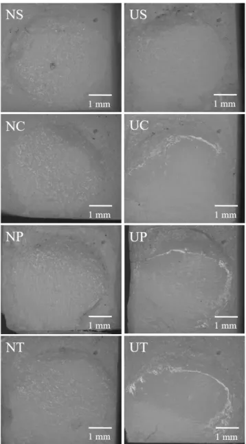 Figure 5. View of a debonded veneered ceramic specimen. NS: non- non-liner+stone point, NC: non-liner+carbide bur, NP: non-liner+paper cone  point, NT: non-liner+silicon point, US: using-liner+stone point, UC: 