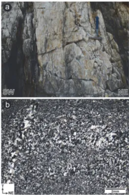 Fig. 7. Photographs of the Late Triassic quartzolite. (a) Outcrop photograph of the quartzolite