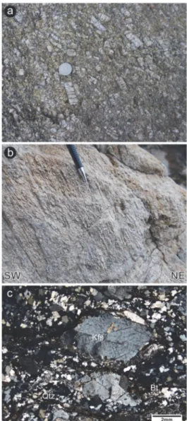 Fig. 9. Photographs of the Late Triassic porphyritic granite.