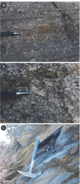 Fig. 13. Outcrop photographs of the Early Jurassic Deokjeok Formation. (a) Conglomerates