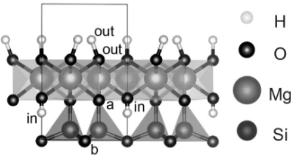 Fig. 2. Atom types (H in  vs. H out ; O in  vs. O out ; O a  vs. 