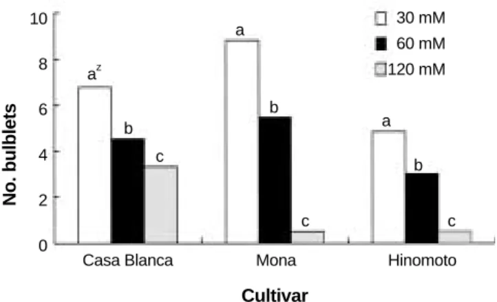 Figure 1. Effect of MS medium strength on bulblet formation from bulb scale segment in Lilium ‘Casa Blanca’, ‘Mona’, and  ‘Hino-moto’ after 4 weeks in culture.