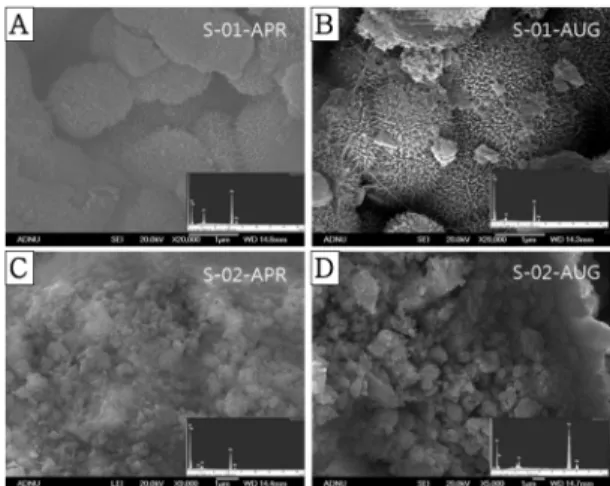 Fig. 5. SEM microphotographs of precipitates taken  from the Dalseong mine.