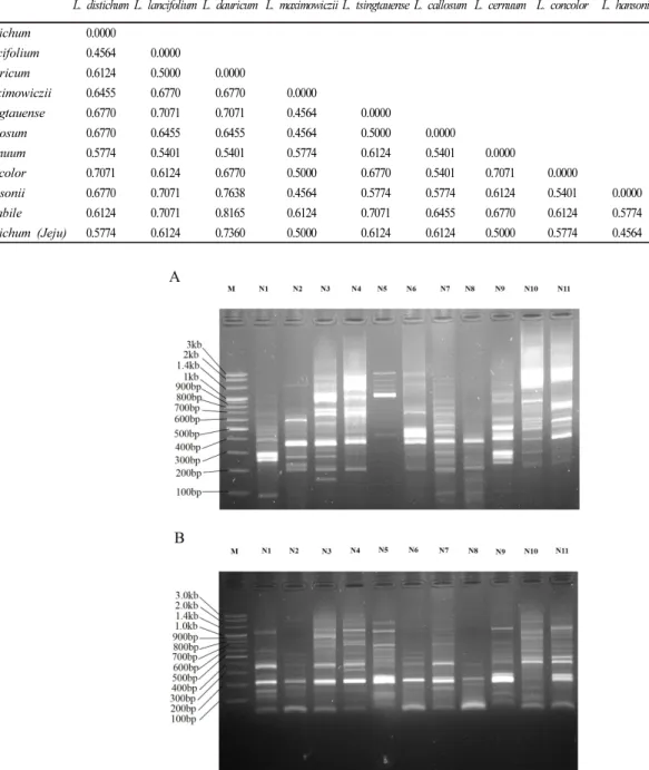 Fig. 1 2% Agarose electrophoresis showing amplification profile of EST-SSR markers in eleven native lilies with SSR15 (A) and SSR 16 (B) markers