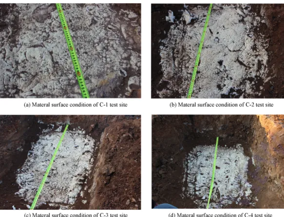 Fig. 11. Material surface conditions after the forest fire simulation tests.