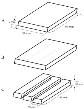 Figure 3. Replica paraffin wax specimen.