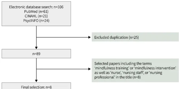 Figure 1. Literature selection process for review.