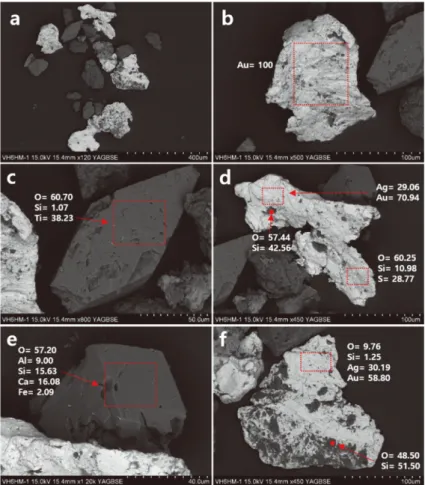 Fig. 10. BSE image of native gold particles and gangue minerals from heavy minerals by hydro separation
