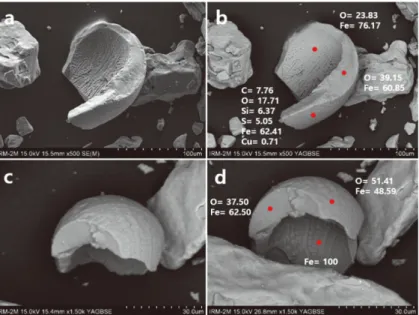 Fig. 9. FE-SEM(a) and BSE image(b, c and d) of the magnetic minerals from 2 M insoluble-residue by hand magnet