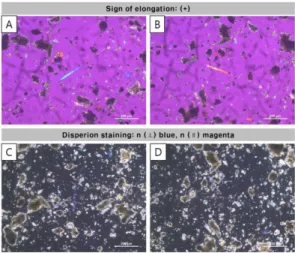Fig. 2. PLM images of crossed polar (A, B) and central- central-stop dispersion staining objective images (C, D) of fibrous chrysotile in asbestos-containing slate.