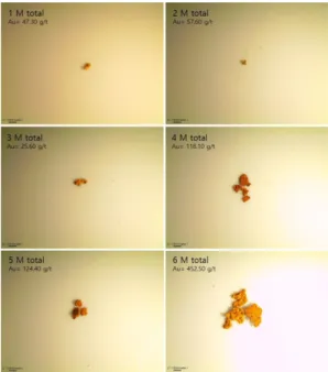 Fig. 9 과 같이 동일한 면적에 대하여 두 번째 및 세 번째  여과지의  표면과  단면에  대하여  각각 EDS 면 분석을 수행하였다. 그 결과 두 번째 및 세 번째 여과 지  표면과  단면의 2M, 4M, 6M 모두에서 Au가  검출 되었다(Table 6)