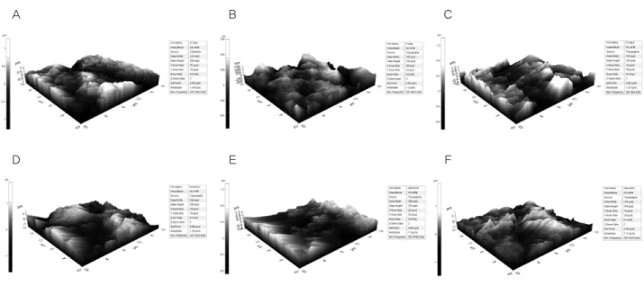 Table 3.  Mean  surface  roughness  of  lithium  disilicate  ceramics   