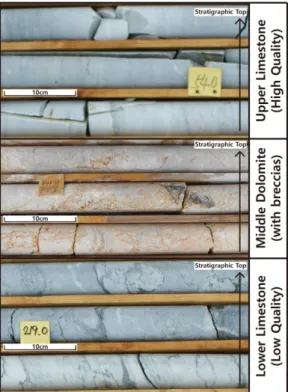 Fig. 8. Stratigraphic subdivision of the Daegi Formation based on vertical variations of CaO and MgO contents (wt.%) (modified from Kim et al., 2017)