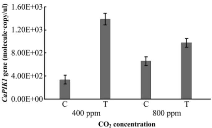 Table  2.  Effect  of  CO 2  on disease ratio and severity by  Xan- Xan-thomonas euvesicatoria