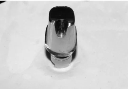 Figure 1. Customized abutment of titanium used in this study