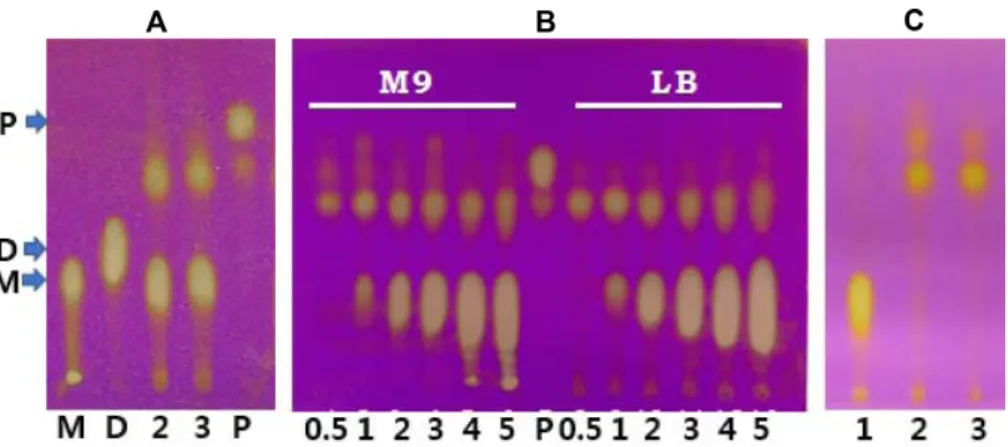 Table 1. Utilization of carbohydates of  Enterobacter sp. YB-46 in API 50CHE kit.