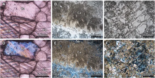 Table 3. Petrographic description of the studied samples. Sample numbers are the same as those of Figure 5