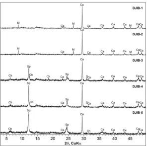 Fig. 7. X-ray diffraction patterns of the studied samples.