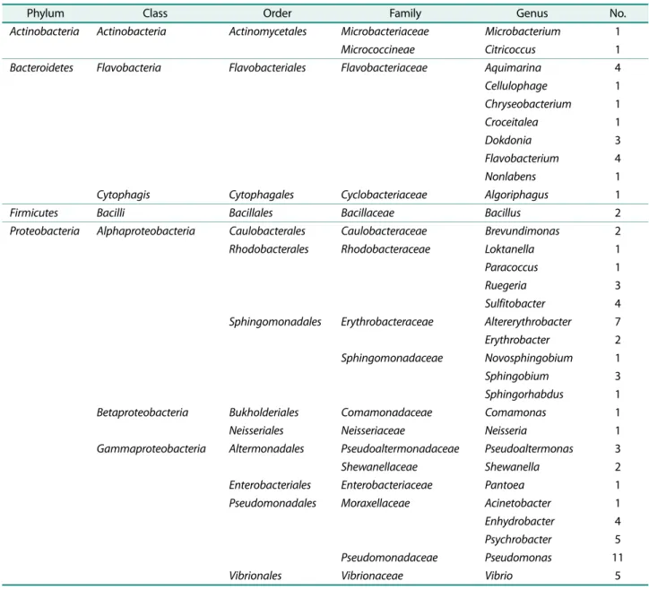 Table 2. Bacterial diversity associated with  Umbraulva japonica.