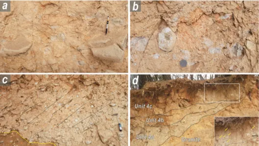 Fig. 4. Photographs of the detailed sedimentary facies. (a) Clast supported fabric of poorly sorted, angular clasts in Unit-1.