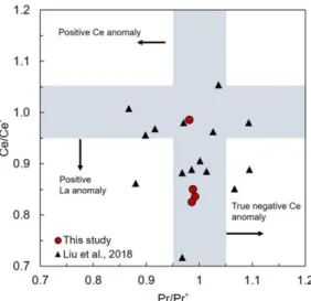 Fig. 5. PAAS (Post Archean Australian Shale)–normalized REY patterns of iron ores from the Wugang BIF (red solid line)