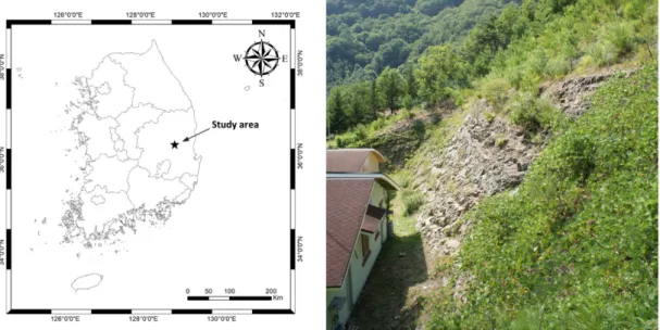Fig. 6. Acquisition process of discontinuity orientation data. (a) picture of the rock slope, (b) selected points from the point cloud, (c) generated plane data from point cloud.