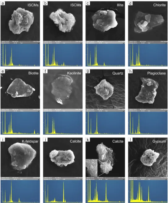 Fig. 5. Scanning electron micrographs of Asian dust particles.