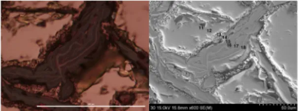 Fig. 9. Cross-polarized photomicrograph (a) and SEM  image (b) of the microwave-treated pyrite sample form Fig