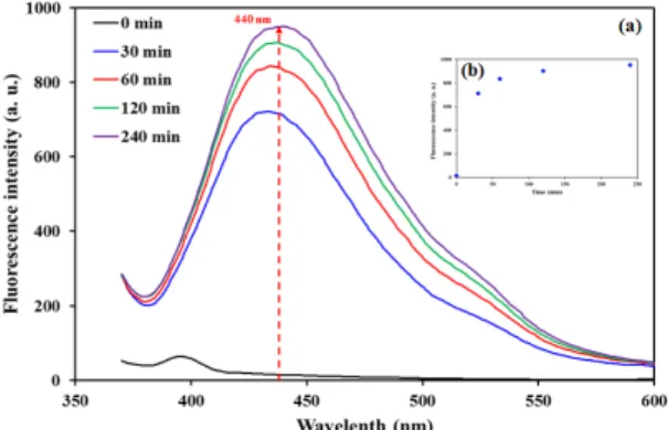 Fig. 6. Verification of hydroxyl radical formation via analysis of 2- hydroxyterephthalic acid concentration  using the fluorescence spectrometer
