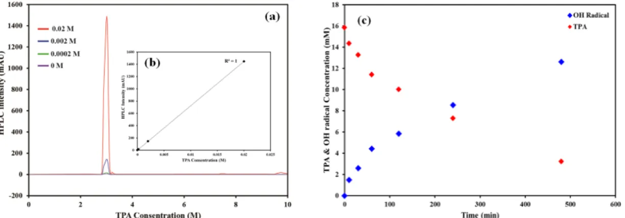 Fig. 7. Calculation of hydroxyl radical concentration via analysis of terephthalic acid concentration using the  high performance liquid chromatography (HPLC)