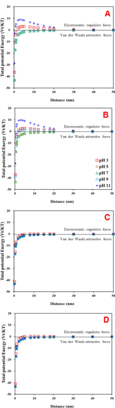 Fig. 5. Interaction forces between two spherical iron  oxide nanoparticles as a function of pH for magnetite  according to the DLVO theory on 1 mM NaCl (A),  NaNO 3  (B), CaCl 2  (C), and Ca(NO 3 ) 2  (D).