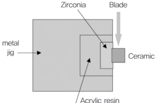 Figure 3. Schematic diagram of experimental  specimen. (A) bonding composite resin and zirconia 